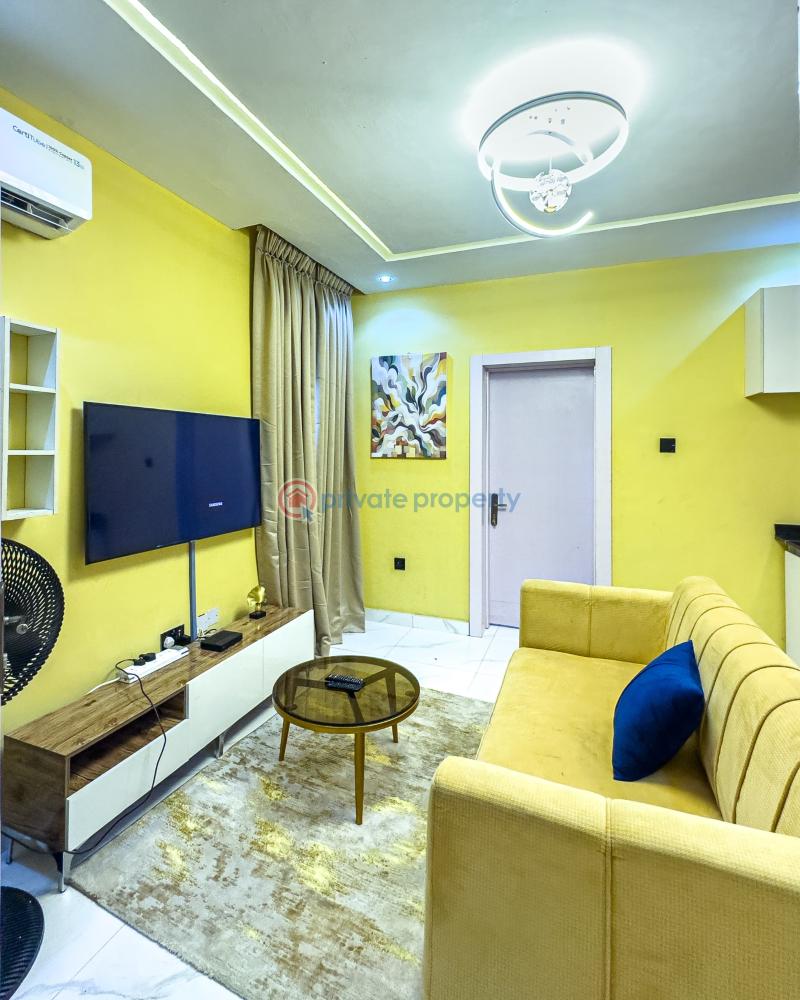 1 bedroom Mini Flat Short let Surulere Lagos - 0