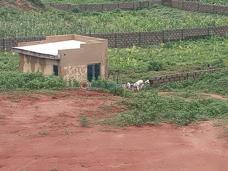 Land For Sale Maitama Abuja Phase 1  - 1