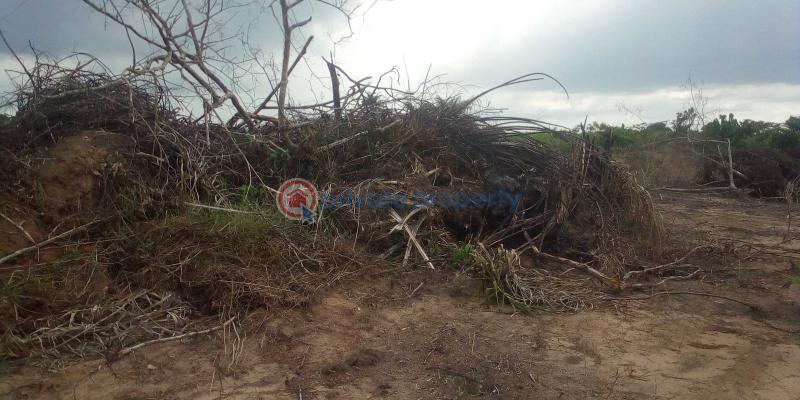 Residential Land For Sale Lekki Deep Seaport, The Proposed Lekki International Airport Etc. Epe Lagos - 4