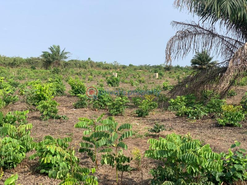 Residential Land For Sale Lekki Deep Seaport, The Proposed Lekki International Airport Etc. Epe Lagos - 2