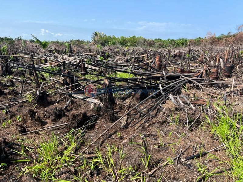 Residential Land For Sale Iberokodo Scheme Ibeju-Lekki Lagos - 2