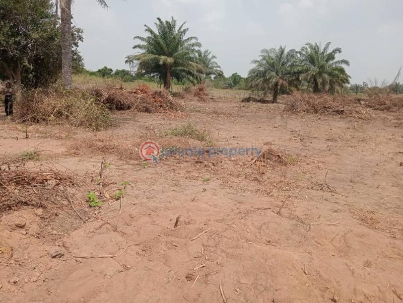 Residential Land For Sale Apex Gardens Estate Ososa Apa Aledo Close To Tai Solarin University Of Education Ijebu Ode Ogun - 1