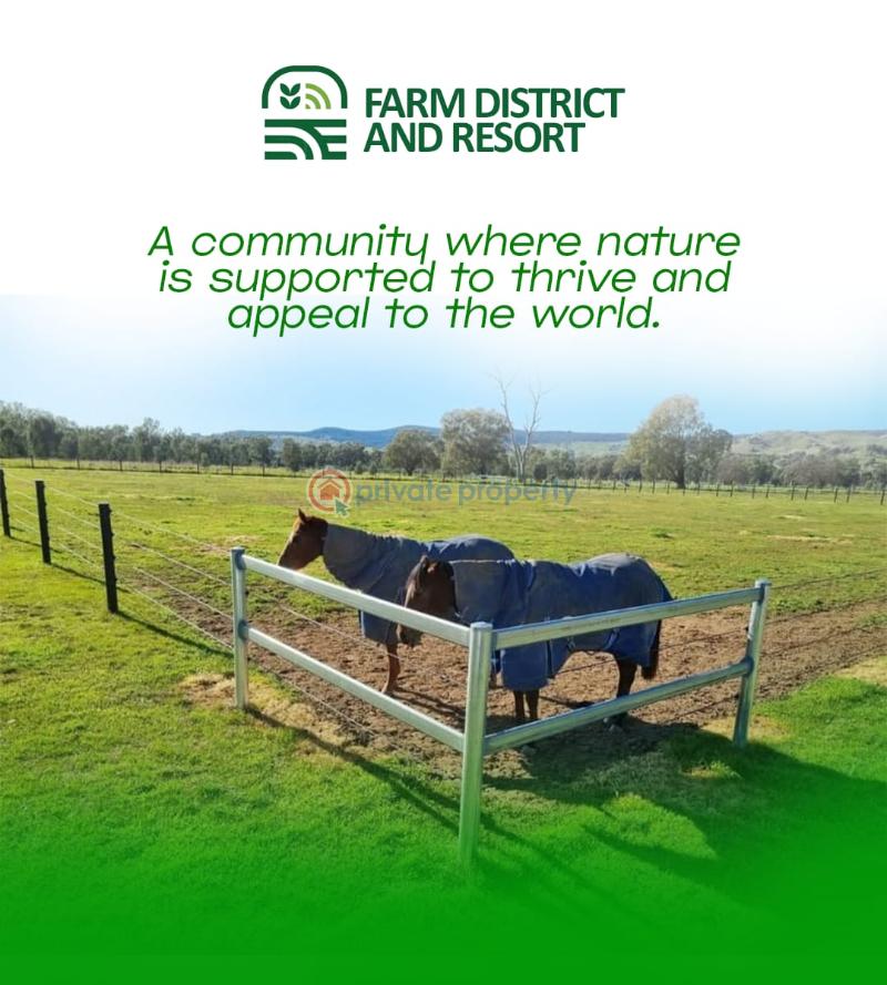 Mixed use Land For Sale Farm District And Resort Ikese Odogbolu Ogun - 4