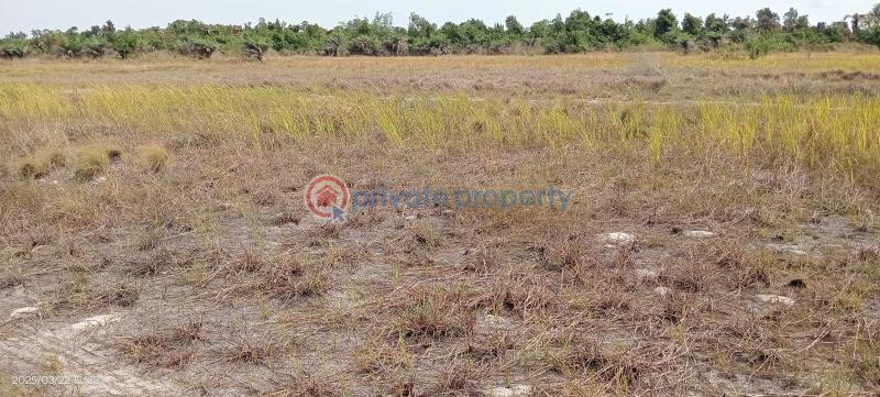 The most cheapest land in ibadan - 7 Mixed use Land For Sale Eniola Villa Lagelu Town Directly Facing Express With Flexible Payment Plans Iwo Road Ibadan Oyo - 7