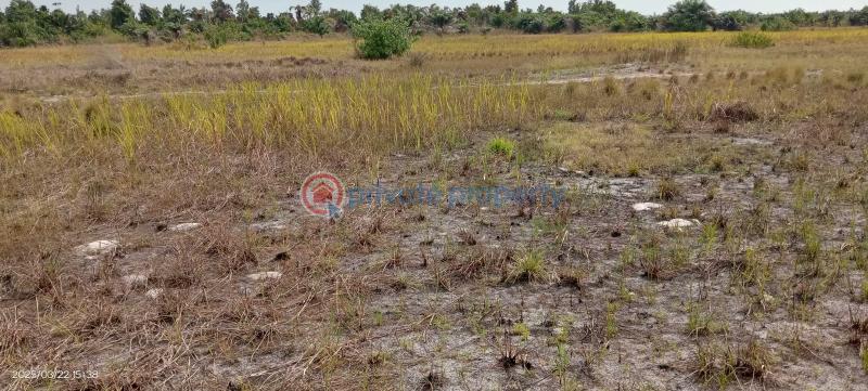 The most cheapest land in ibadan - 6 Mixed use Land For Sale Eniola Villa Lagelu Town Directly Facing Express With Flexible Payment Plans Iwo Road Ibadan Oyo - 6