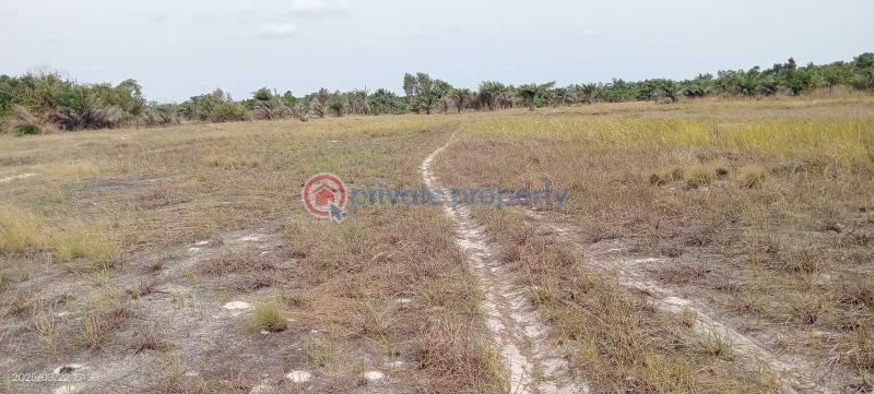 The most cheapest land in ibadan - 4 Mixed use Land For Sale Eniola Villa Lagelu Town Directly Facing Express With Flexible Payment Plans Iwo Road Ibadan Oyo - 4