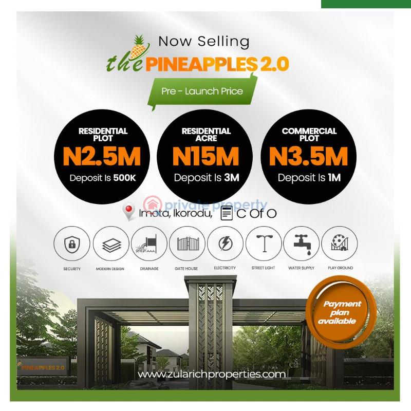 Residential Land For Sale Imota Rice Mill, Caleb University Ikorodu Lagos - 2