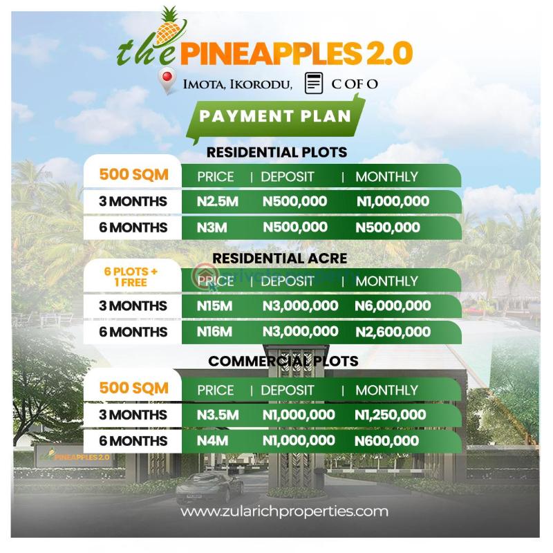 Residential Land For Sale Imota Rice Mill, Caleb University Ikorodu Lagos - 4