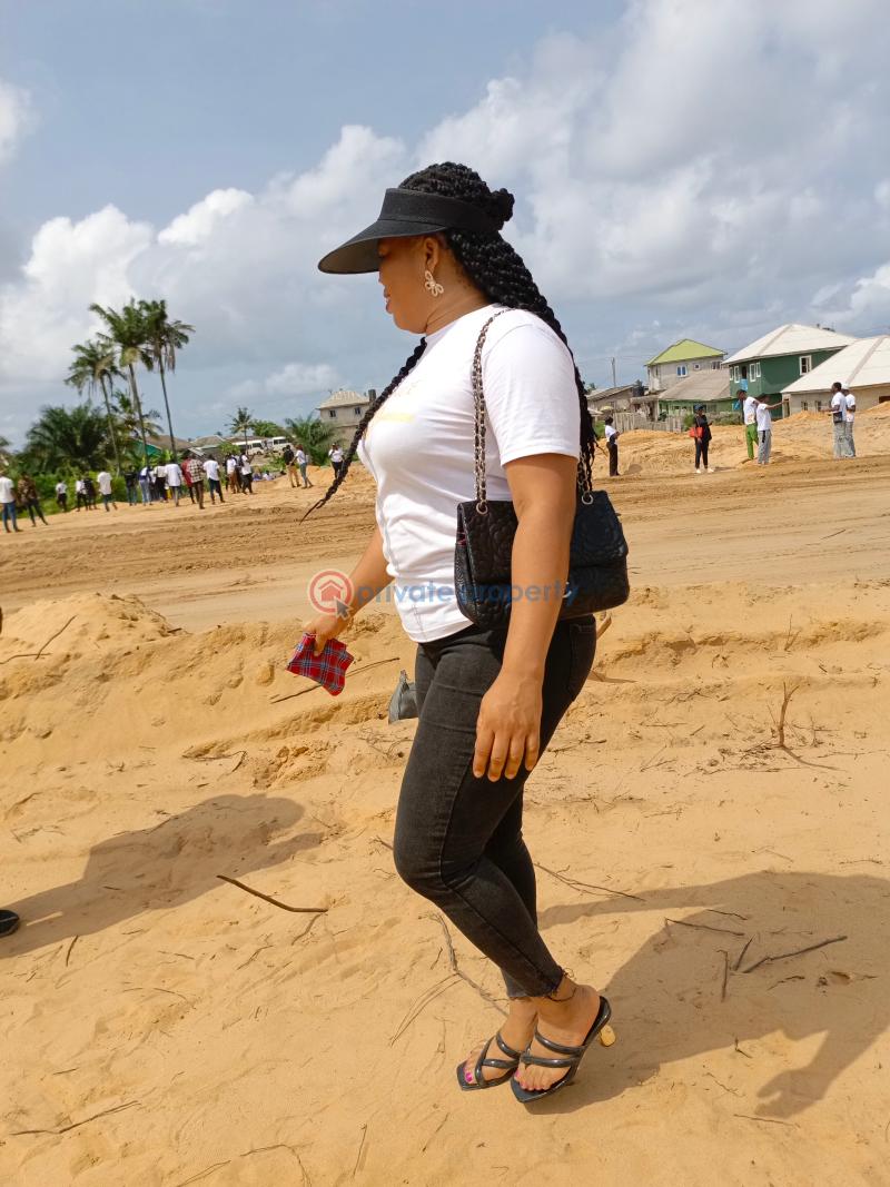 Land For Sale Facing The New Coastal Road Akodo Ise Ibeju-Lekki Lagos - 4