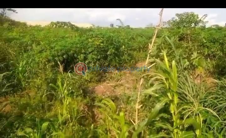Mixed use Land For Sale Three Plot For Sale Asaba Custom Base Back Of Narrato Filling Station And Narrato Hotel Lodge Before City Gate N Asaba Delta - 1