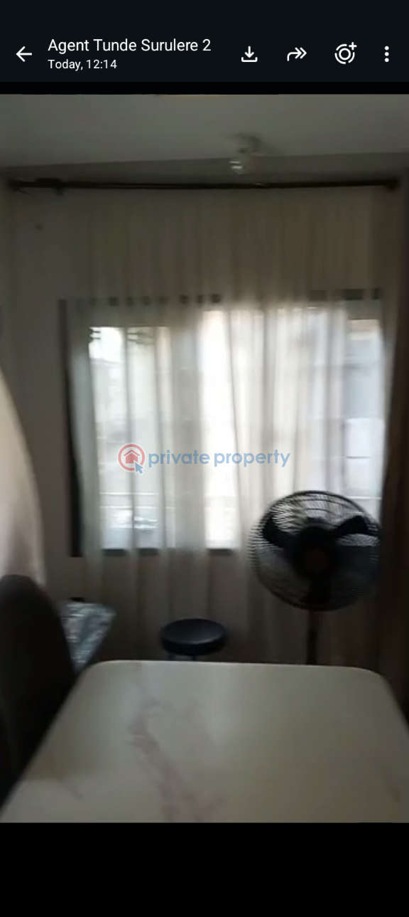 3 bedroom Block Of Flats For Rent Ijesha Surulere Lagos - 7