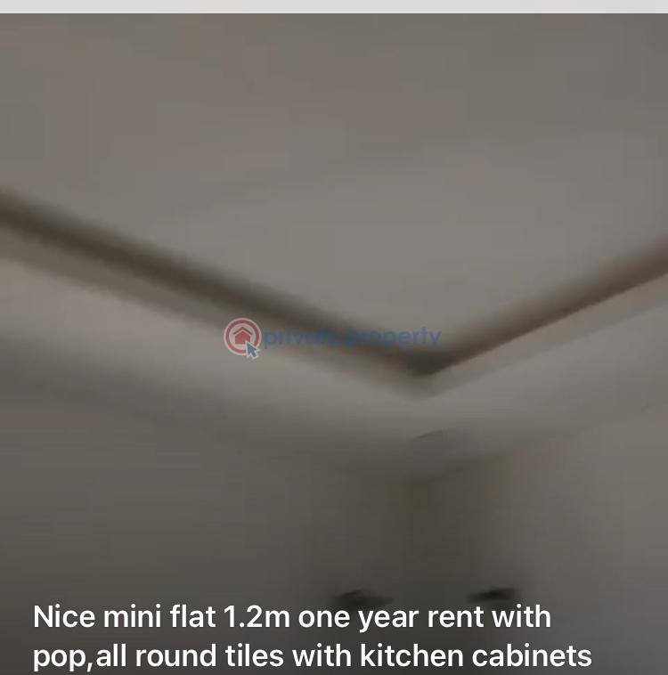 1 bedroom Mini Flat For Rent Itire-Ikate Surulere Lagos - 0