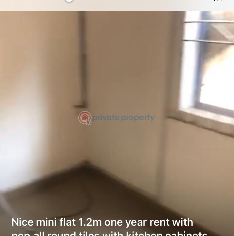 1 bedroom Mini Flat For Rent Itire-Ikate Surulere Lagos - 6