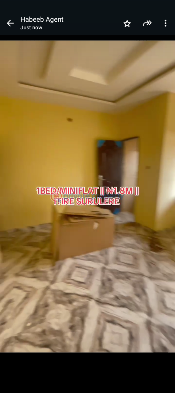 1 bedroom Mini Flat For Rent Itire-Ikate Surulere Lagos - 2