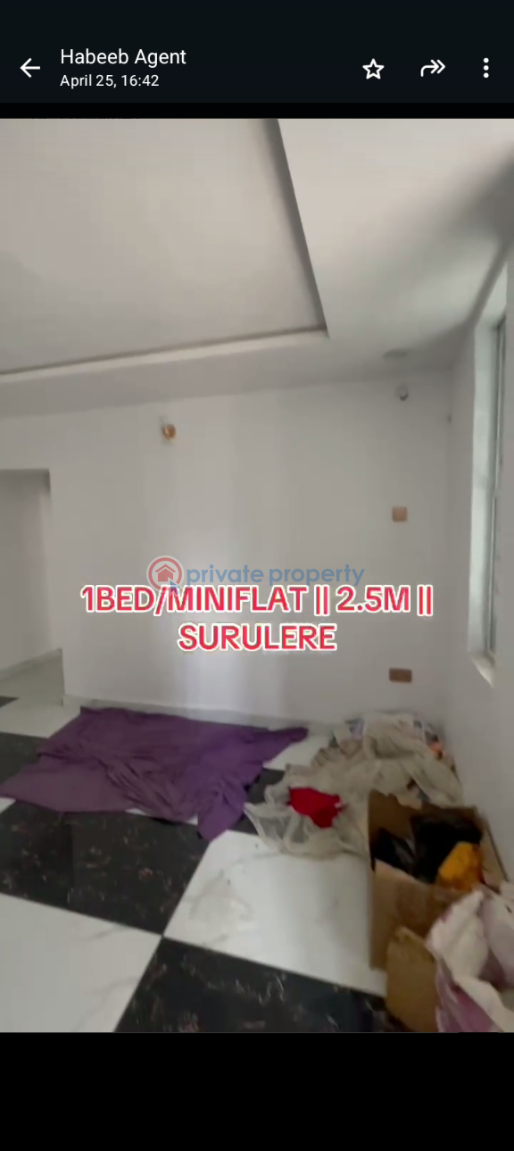 1 bedroom Mini Flat For Rent Itire-Ikate Surulere Lagos - 6