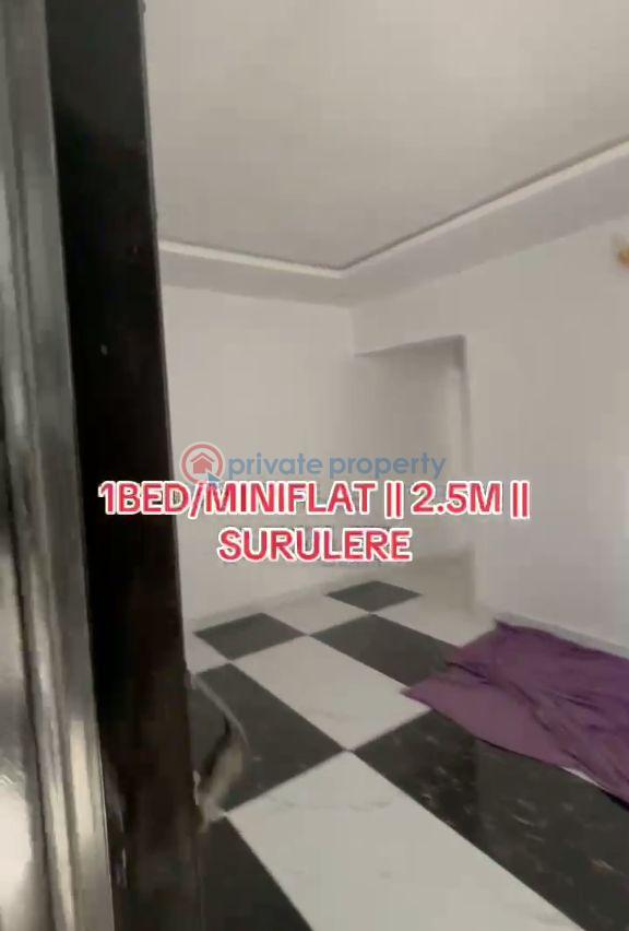 1 bedroom Mini Flat For Rent Itire-Ikate Surulere Lagos - 2