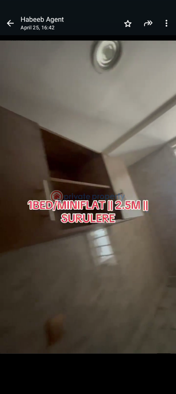 1 bedroom Mini Flat For Rent Itire-Ikate Surulere Lagos - 4