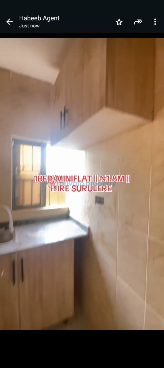 1 bedroom Mini Flat For Rent Itire-Ikate Surulere Lagos - 4