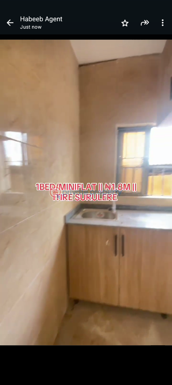 1 bedroom Mini Flat For Rent Itire-Ikate Surulere Lagos - 6