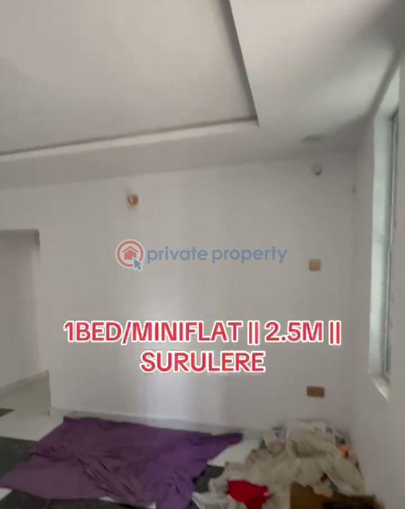 1 bedroom Mini Flat For Rent Itire-Ikate Surulere Lagos - 3