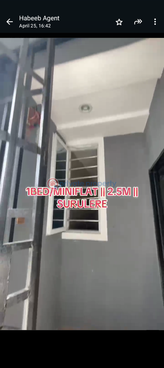 1 bedroom Mini Flat For Rent Itire-Ikate Surulere Lagos - 1