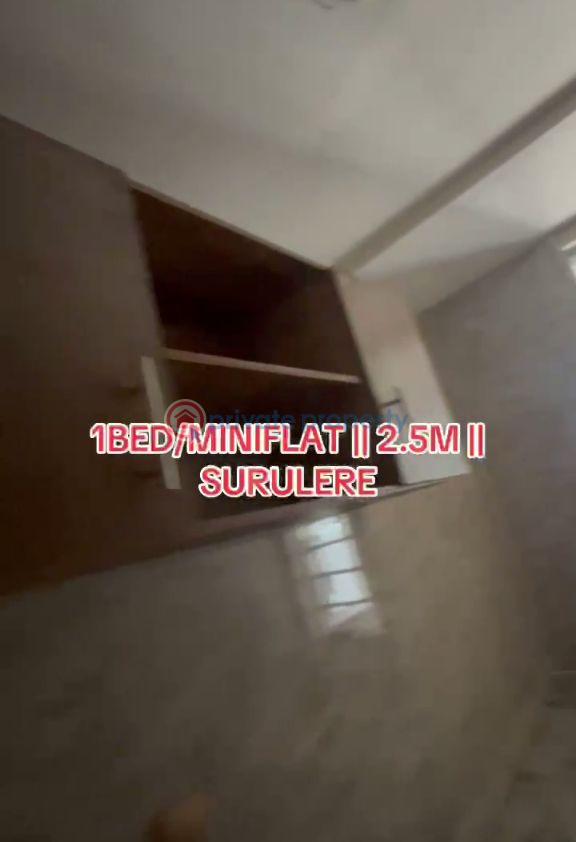 1 bedroom Mini Flat For Rent Itire-Ikate Surulere Lagos - 5