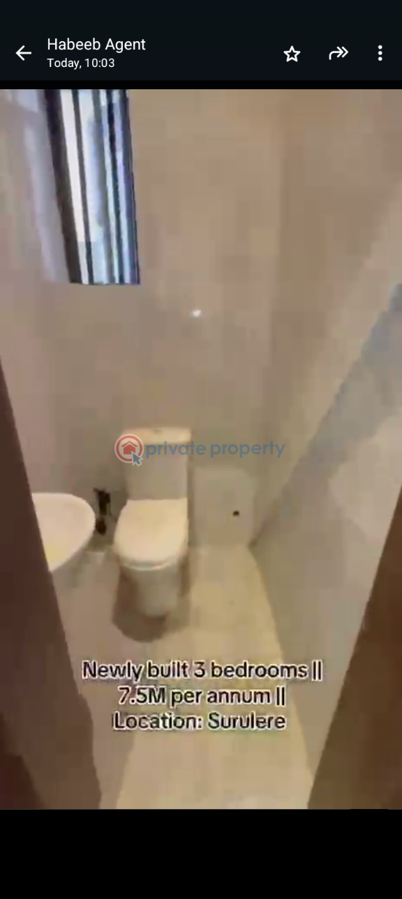 3 bedroom Block Of Flats For Rent Adelabu Surulere Lagos - 4