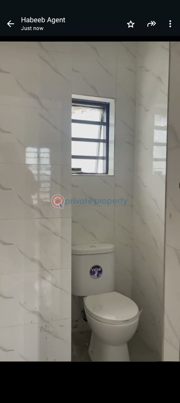 1 bedroom Mini Flat For Rent Ijesha Surulere Lagos - 9