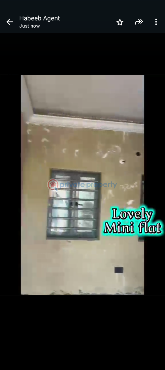 1 bedroom Mini Flat For Rent Itire-Ikate Surulere Lagos - 3