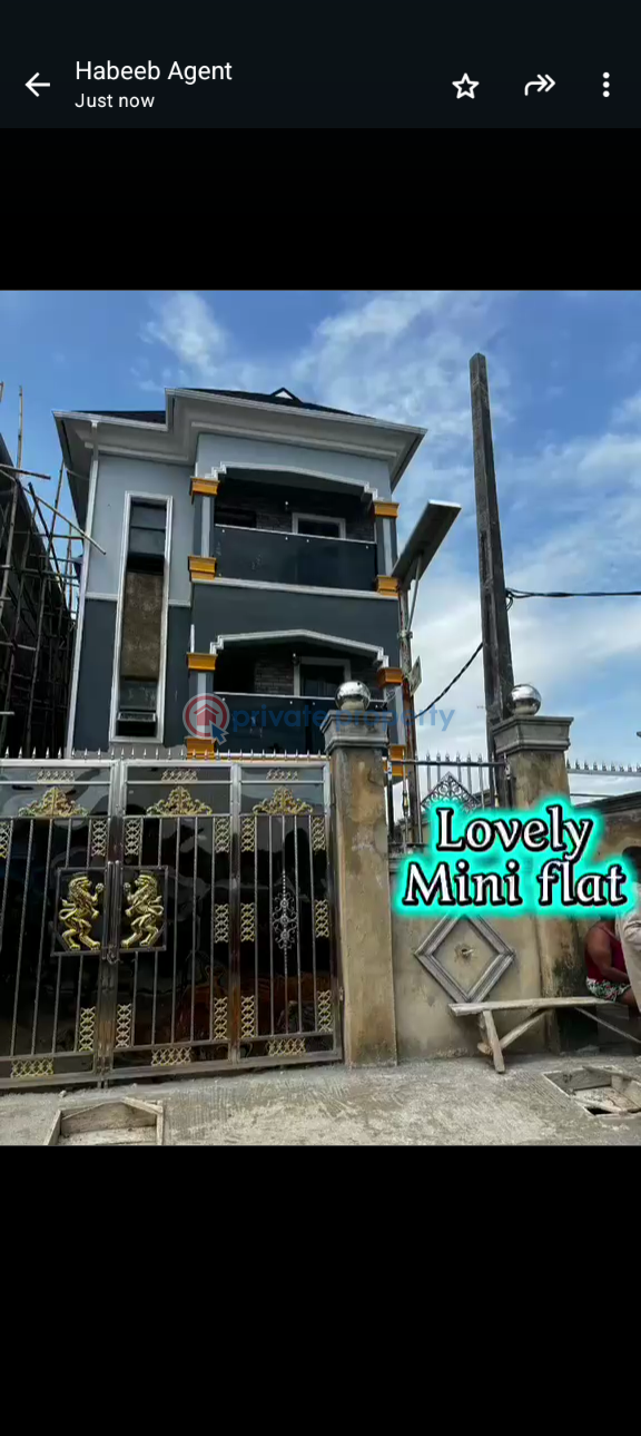 1 bedroom Mini Flat For Rent Itire-Ikate Surulere Lagos - 1