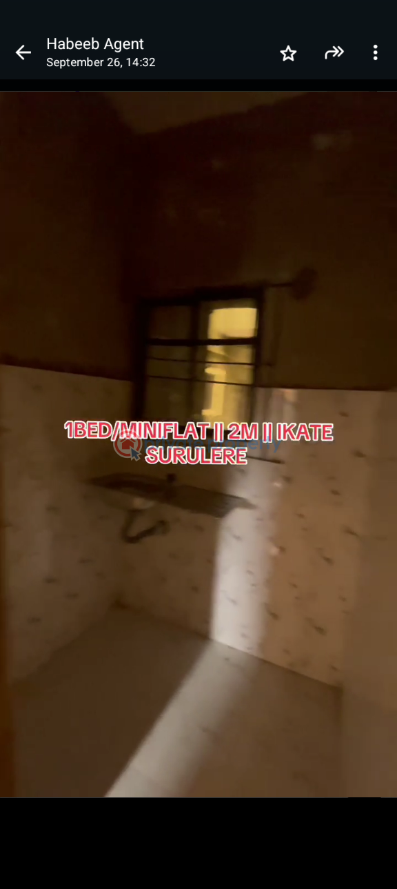 1 bedroom Mini Flat For Rent Itire-Ikate Surulere Lagos - 5