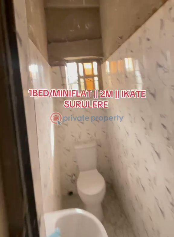 1 bedroom Mini Flat For Rent Itire-Ikate Surulere Lagos - 4