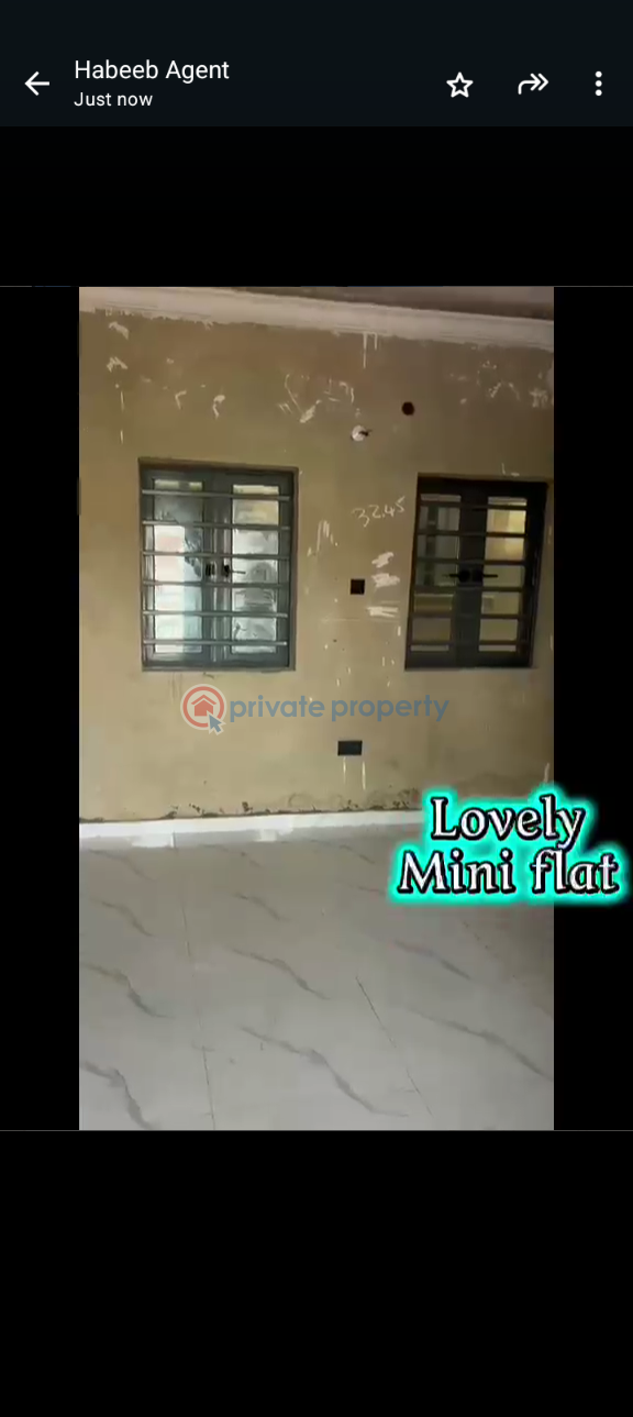 1 bedroom Mini Flat For Rent Itire-Ikate Surulere Lagos - 2