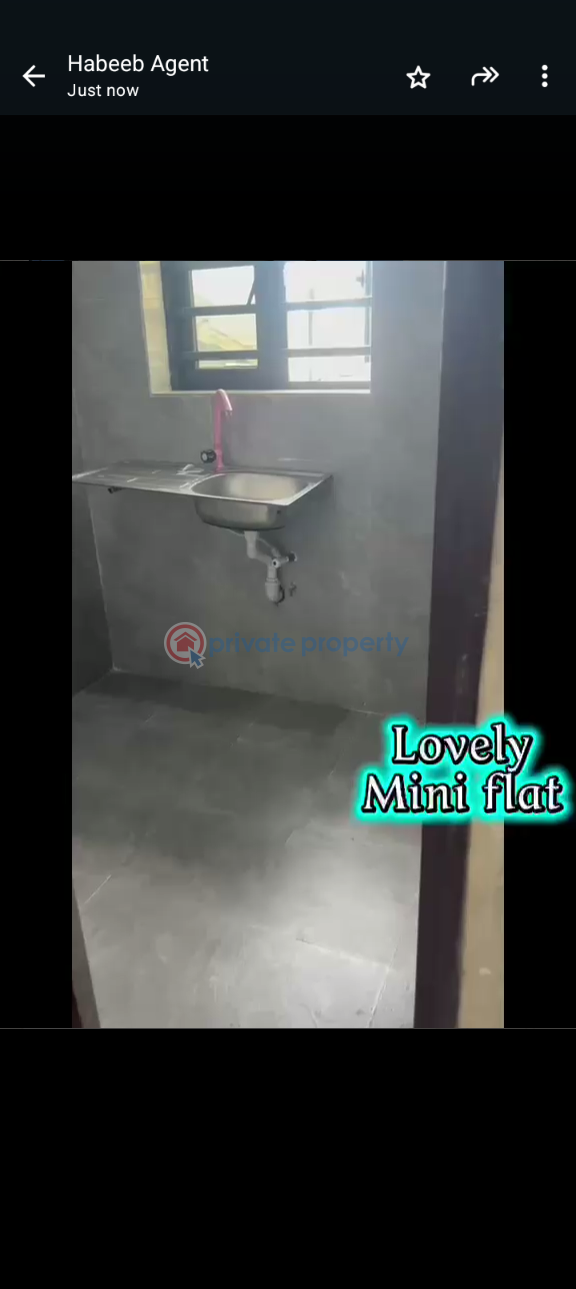 1 bedroom Mini Flat For Rent Itire-Ikate Surulere Lagos - 6