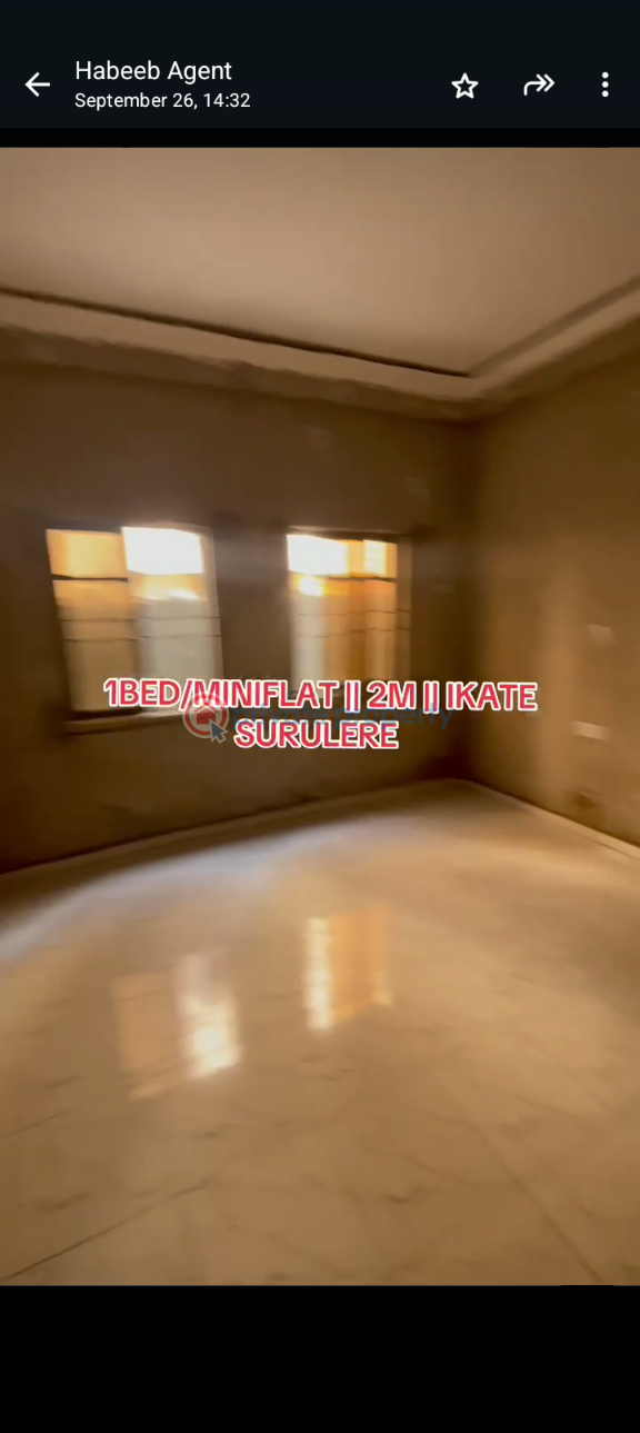 1 bedroom Mini Flat For Rent Itire-Ikate Surulere Lagos - 1