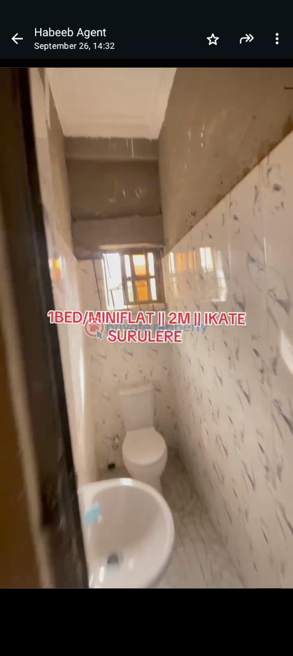 1 bedroom Mini Flat For Rent Itire-Ikate Surulere Lagos - 3