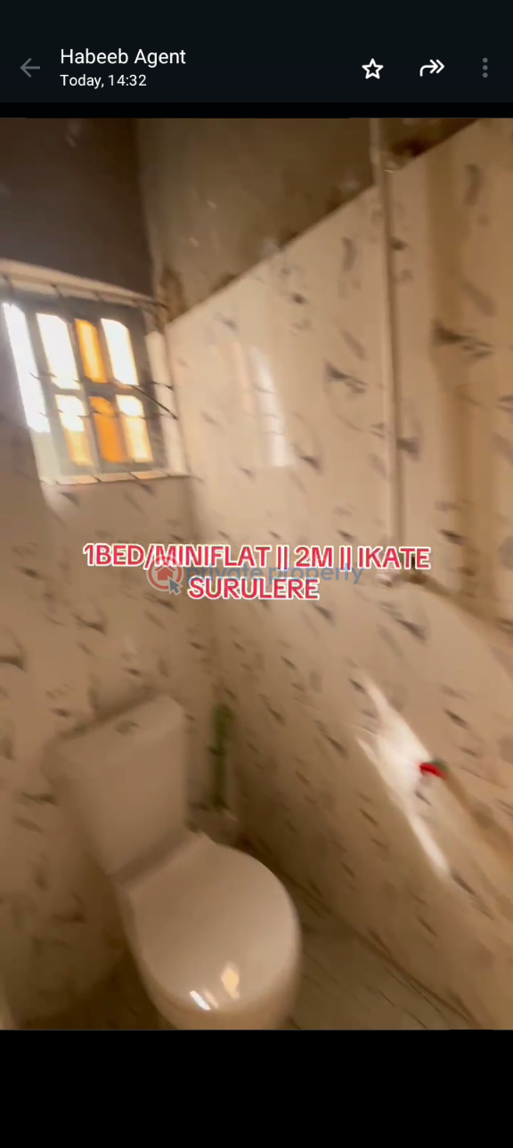 1 bedroom Mini Flat For Rent Itire-Ikate Surulere Lagos - 9