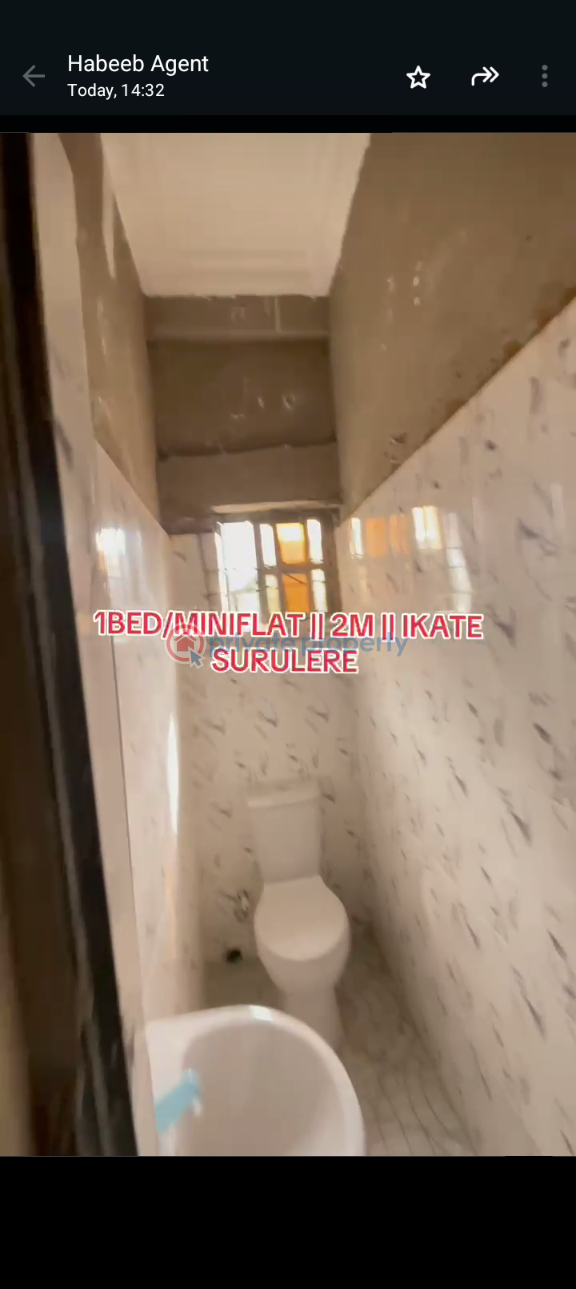 1 bedroom Mini Flat For Rent Itire-Ikate Surulere Lagos - 6