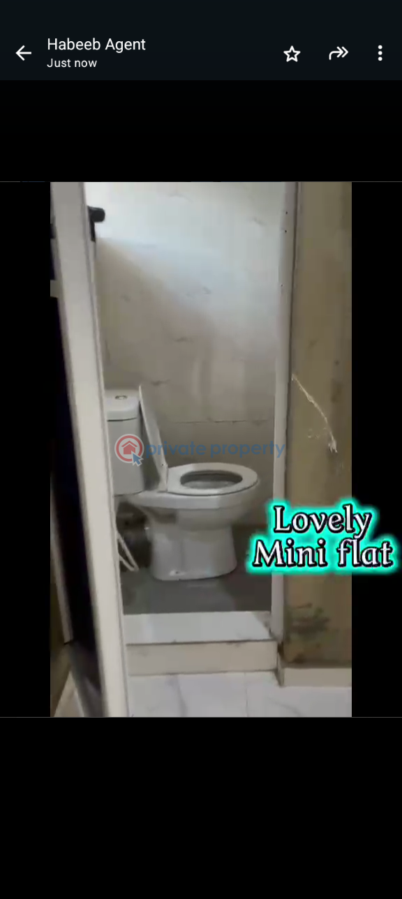 1 bedroom Mini Flat For Rent Itire-Ikate Surulere Lagos - 8