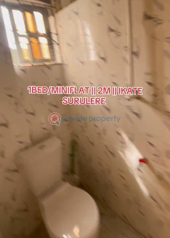 1 bedroom Mini Flat For Rent Itire-Ikate Surulere Lagos - 8