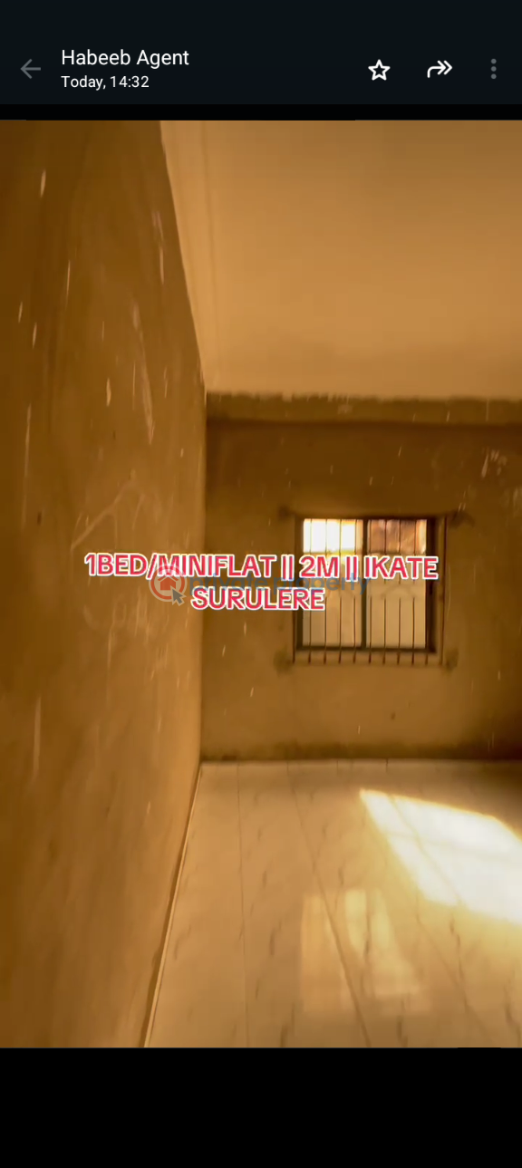 1 bedroom Mini Flat For Rent Itire-Ikate Surulere Lagos - 7