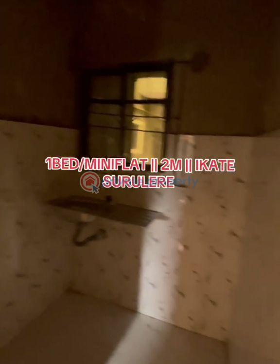 1 bedroom Mini Flat For Rent Itire-Ikate Surulere Lagos - 5
