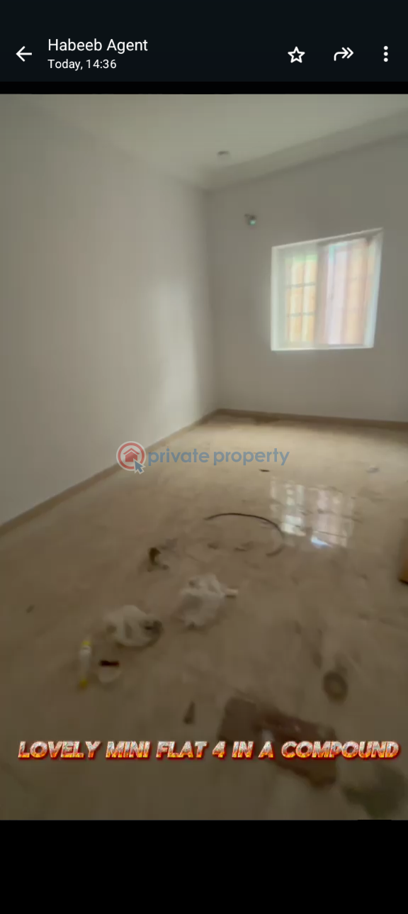1 bedroom Mini Flat For Rent Itire-Ikate Surulere Lagos - 4