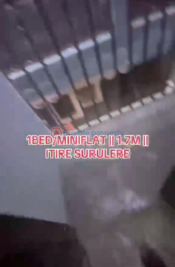 1 bedroom Self Contain For Rent Itire-Ikate Surulere Lagos - 8