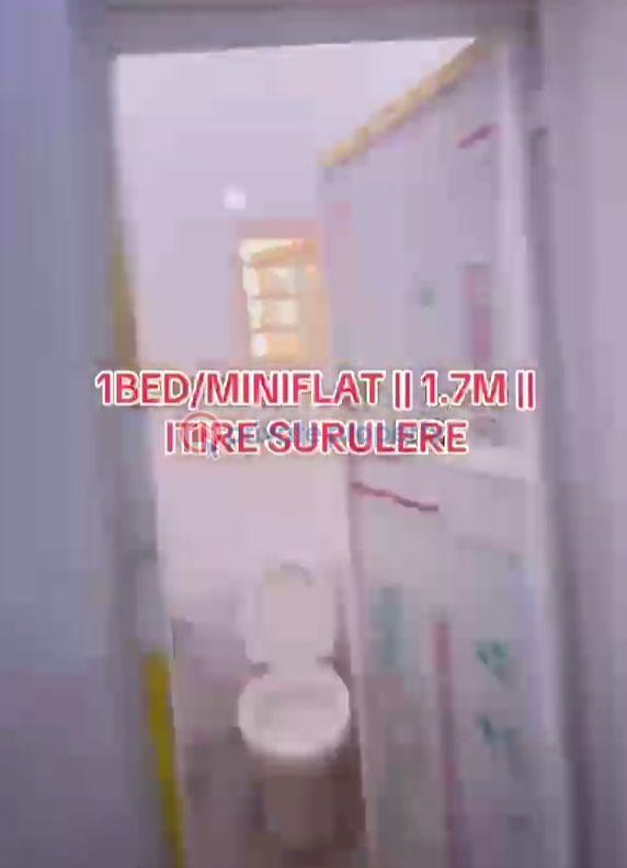 1 bedroom Self Contain For Rent Itire-Ikate Surulere Lagos - 2