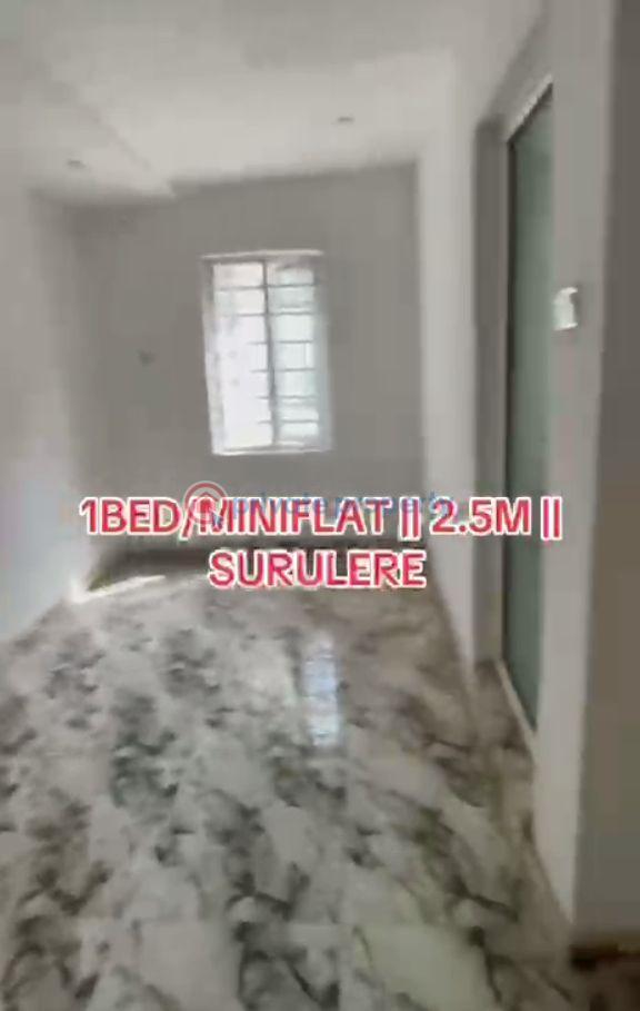 1 bedroom Mini Flat For Rent Lawanson Surulere Lagos - 3
