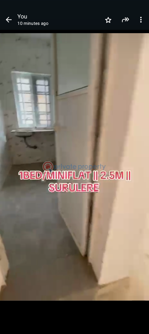 1 bedroom Mini Flat For Rent Lawanson Surulere Lagos - 6