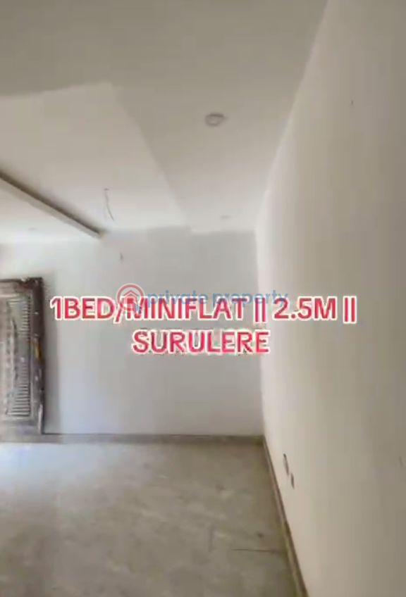 1 bedroom Mini Flat For Rent Lawanson Surulere Lagos - 5