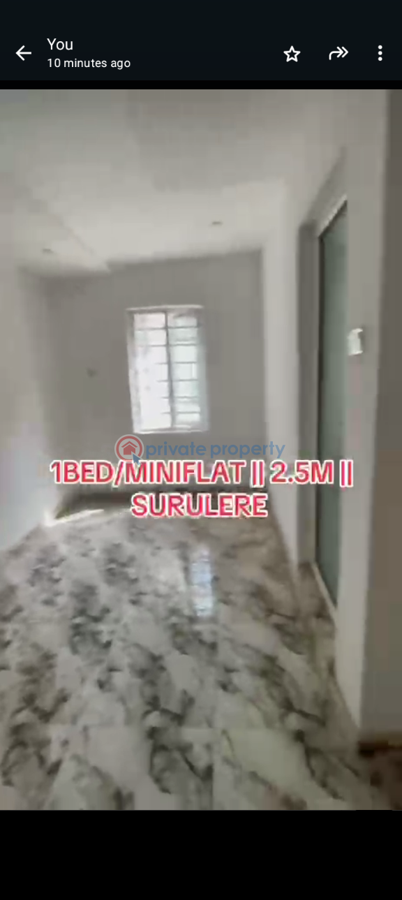 1 bedroom Mini Flat For Rent Lawanson Surulere Lagos - 4