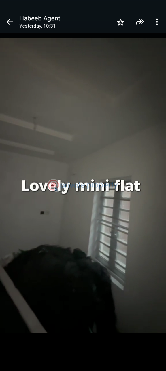1 bedroom Mini Flat For Rent Lawanson Surulere Lagos - 2